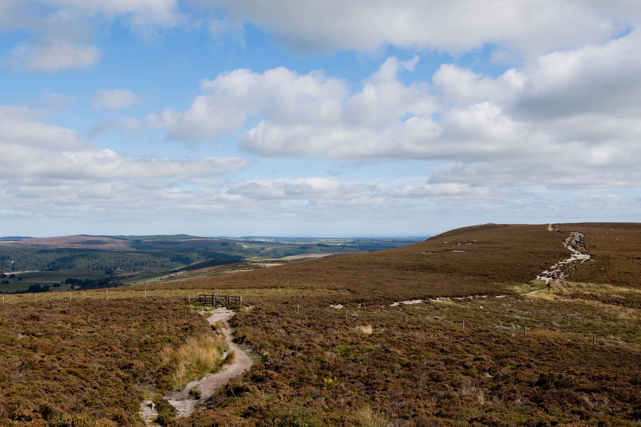 Wide view of Northumberland hills and fields under a bright sky