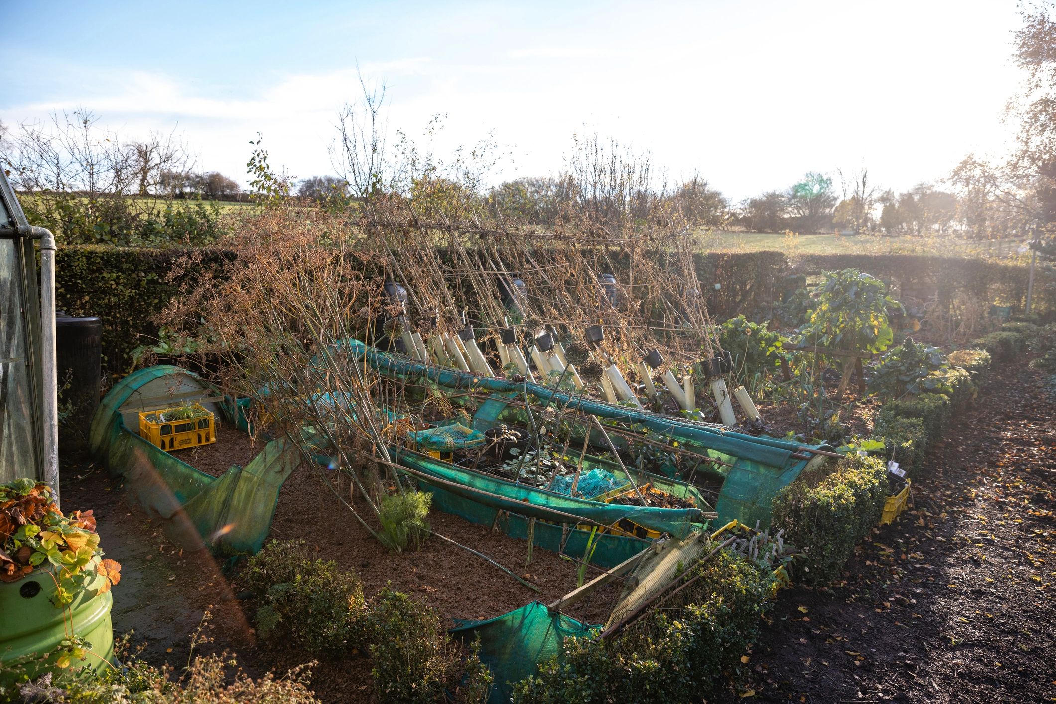 Community farm landscape in North East England