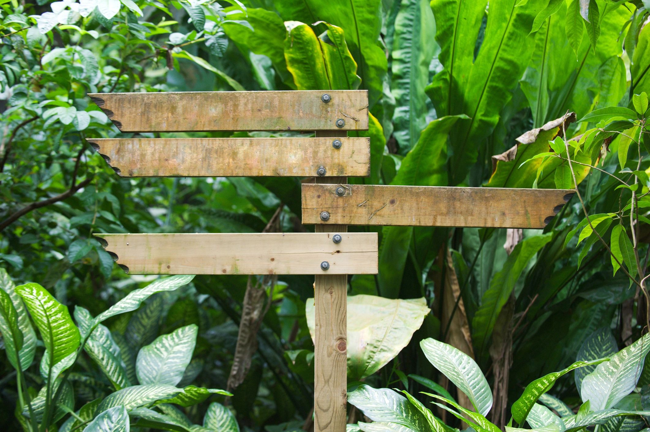 Wooden signpost with space for text, representing local notices and wayfinding